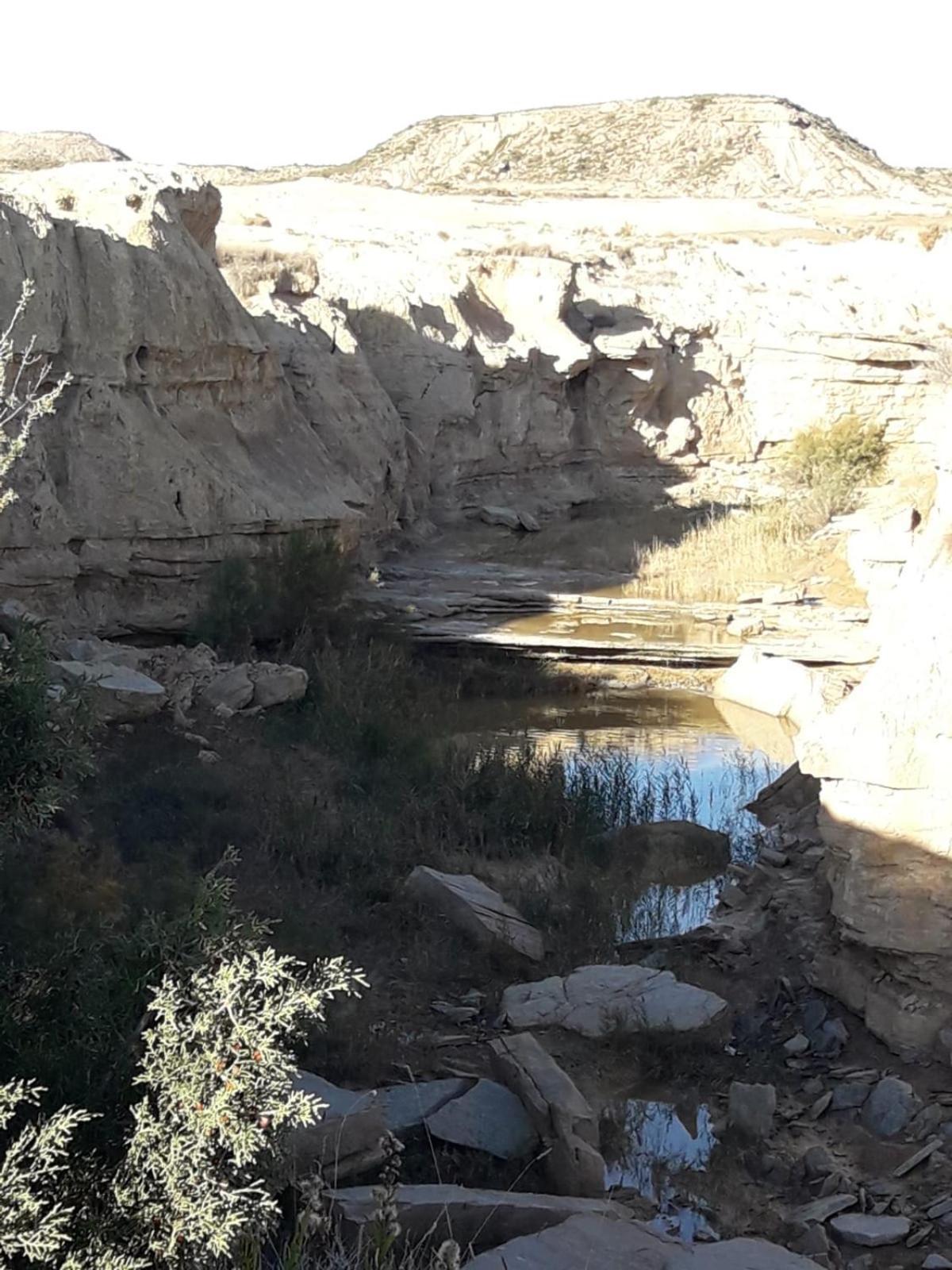 La Manguita Bardenas Villa Arguedas Bagian luar foto